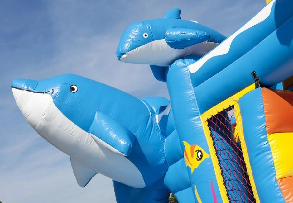 Le dauphin 2