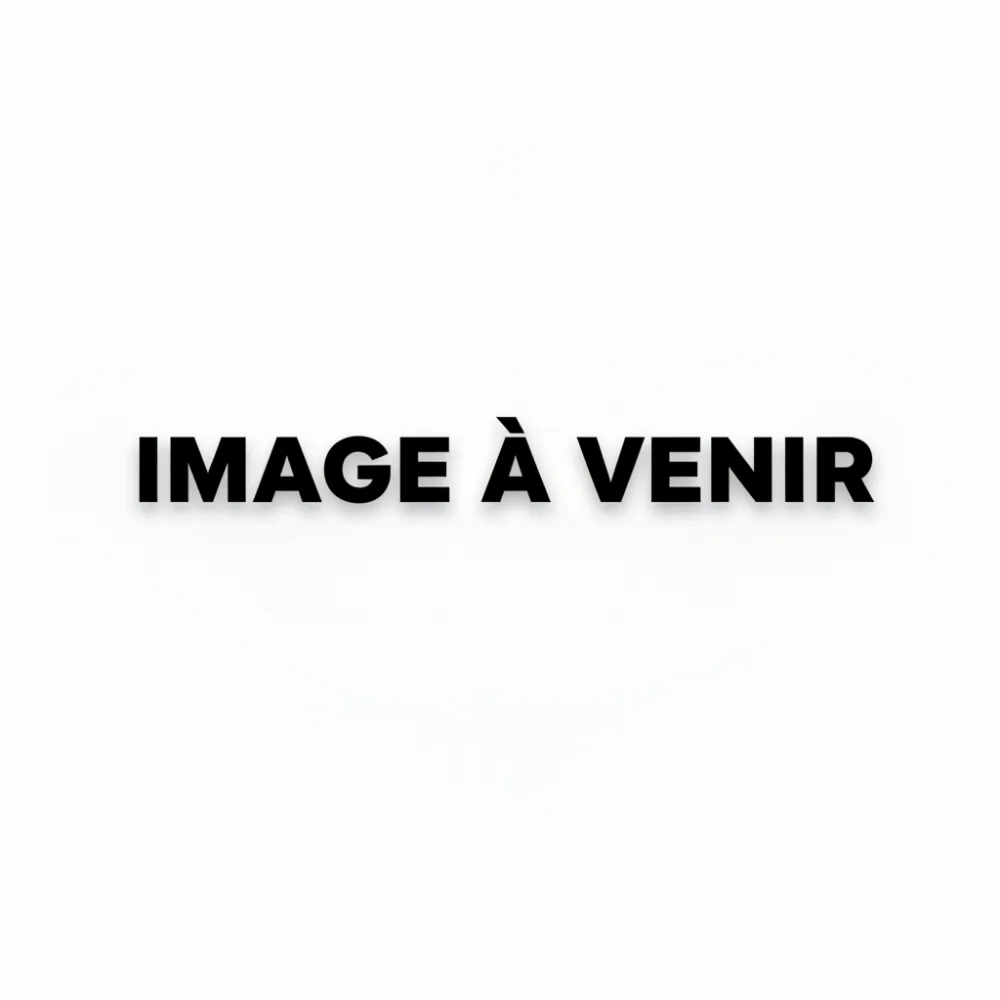 Machine à glaçons